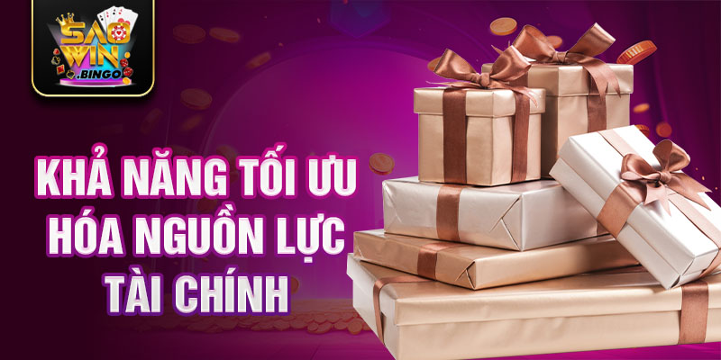 Khả năng tối ưu hóa nguồn lực tài chính