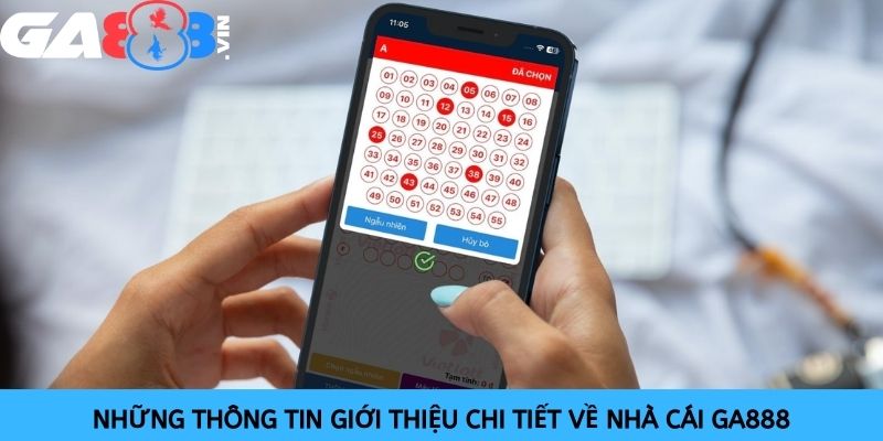 Các loại kèo cược đa dạng đang có trên nền tảng 