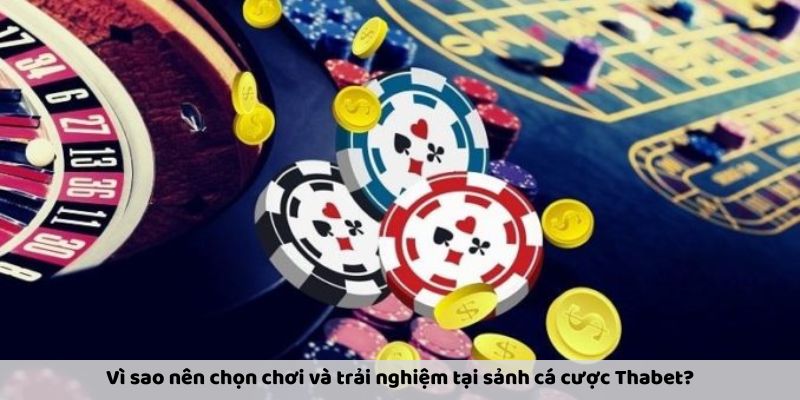 Sảnh cá cược Thabet - Trải nghiệm uy tín và an toàn