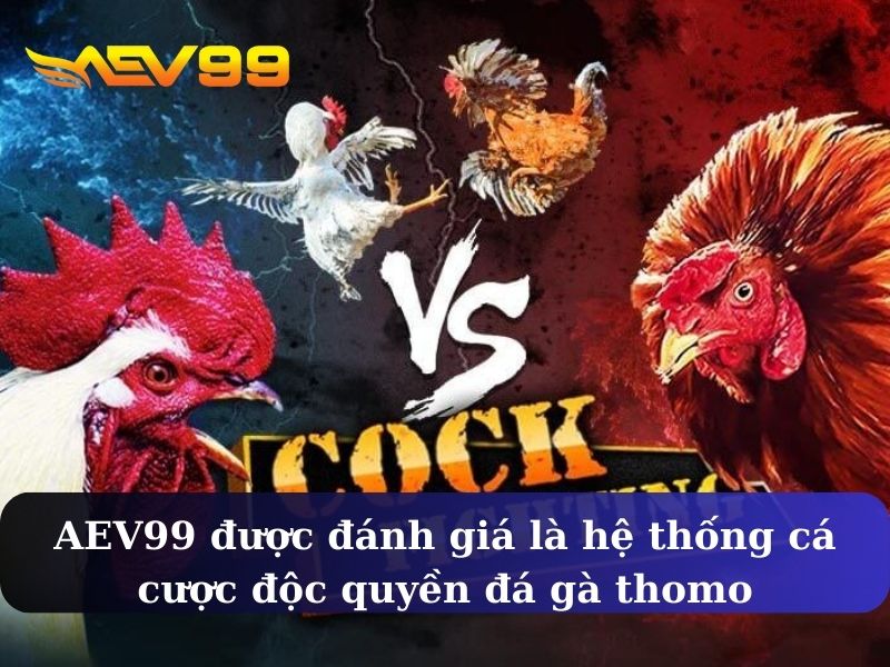 AEV99 được đánh giá là hệ thống cá cược độc quyền đá gà thomo