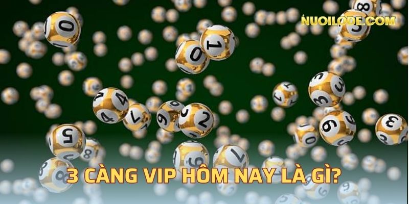 3 càng VIP hôm nay là gì?