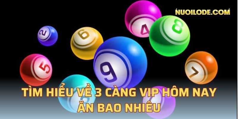 Tìm hiểu về 3 càng VIP hôm nay ăn bao nhiêu