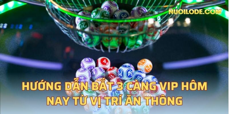 Hướng dẫn bắt 3 càng VIP hôm nay từ vị trí ăn thông