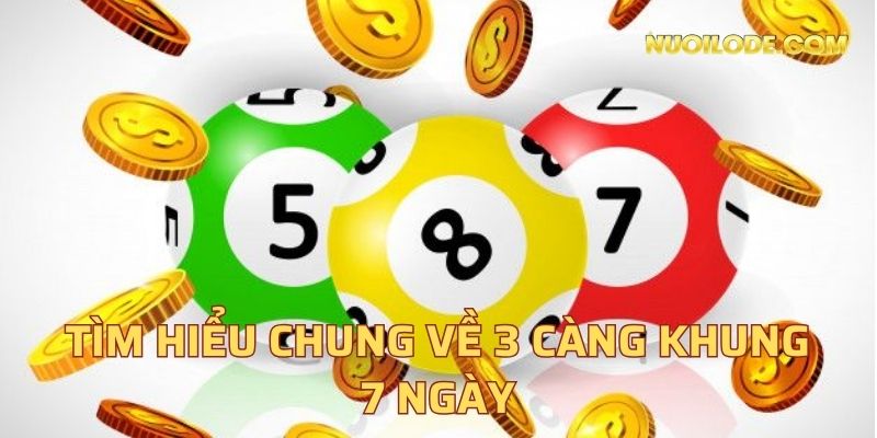 Tìm hiểu chung về 3 càng khung 7 ngày
