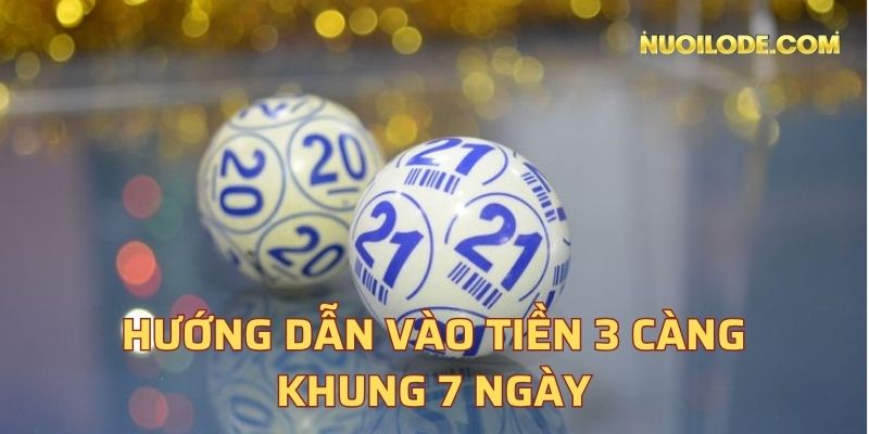 Hướng dẫn vào tiền 3 càng khung 7 ngày