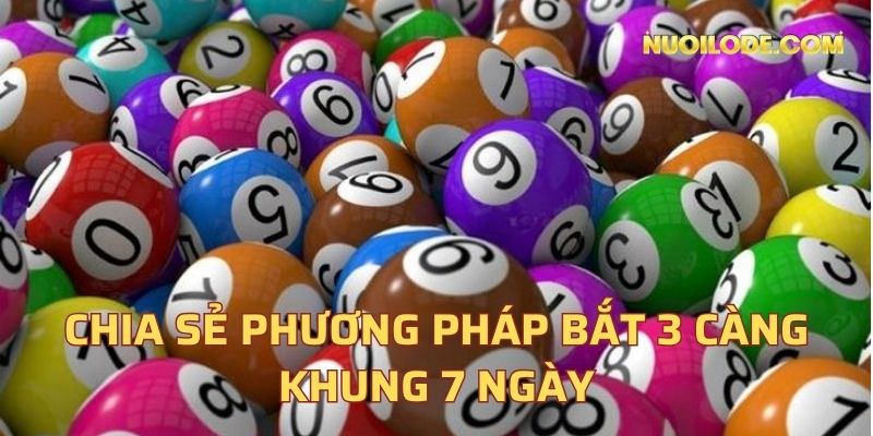 Chia sẻ phương pháp bắt 3 càng khung 7 ngày