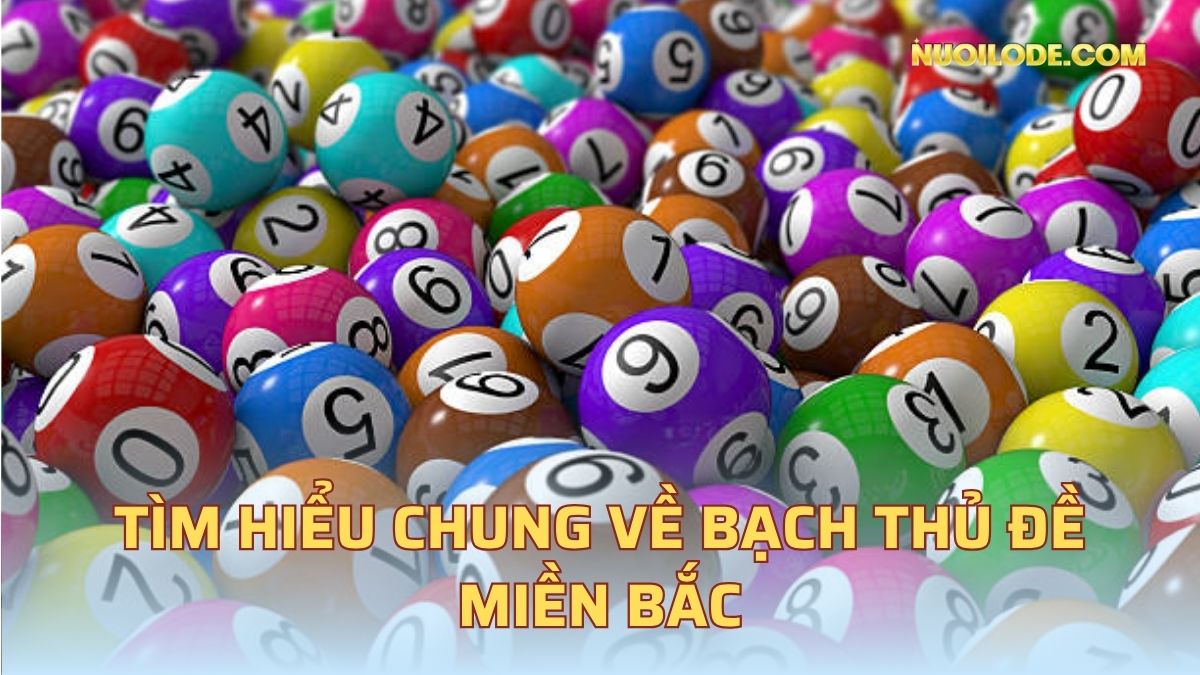 Tìm hiểu chung về bạch thủ đề miền bắc