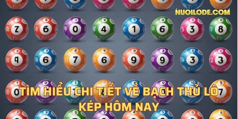 Tìm hiểu chi tiết về bạch thủ lô kép hôm nay