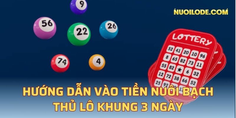 Hướng dẫn vào tiền nuôi bạch thủ lô khung 3 ngày