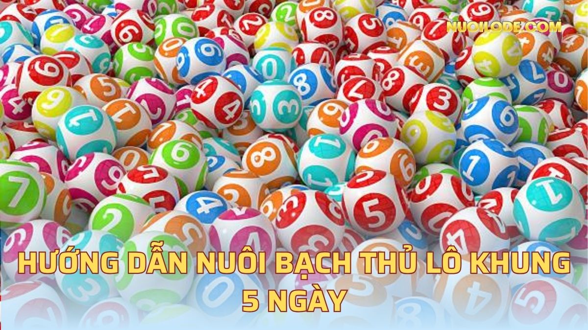 Hướng dẫn nuôi bạch thủ lô khung 5 ngày