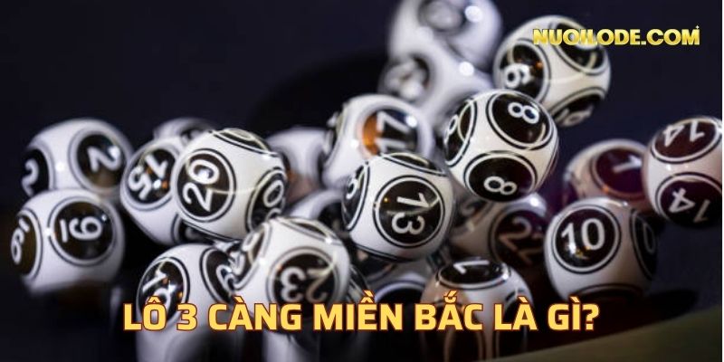 Lô 3 càng miền bắc là gì?