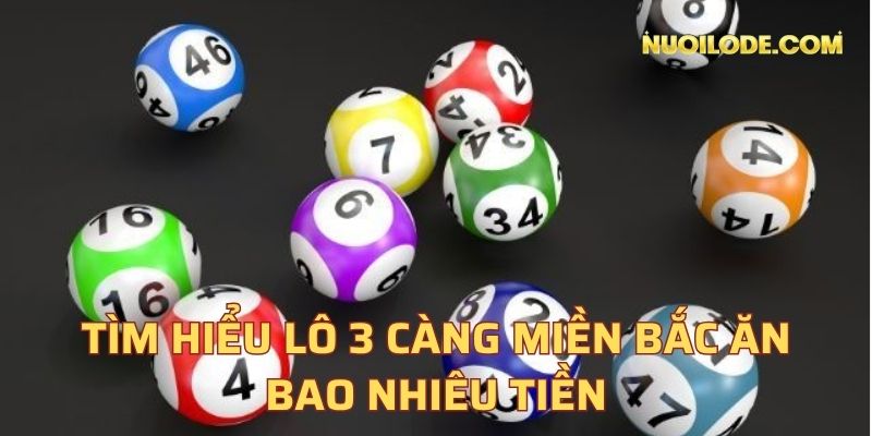 Tìm hiểu lô 3 càng miền Bắc ăn bao nhiêu tiền
