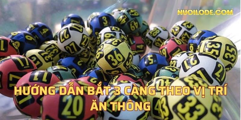 Hướng dẫn bắt 3 càng theo vị trí ăn thông
