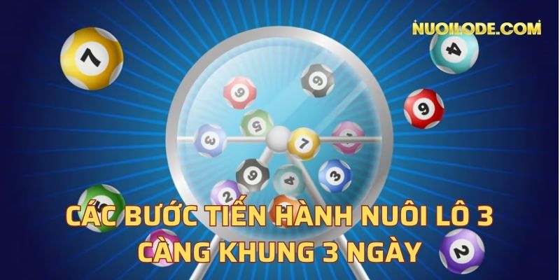 Các bước tiến hành nuôi lô 3 càng khung 3 ngày