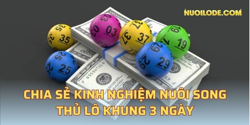 Chia sẻ kinh nghiệm nuôi song thủ lô khung 3 ngày