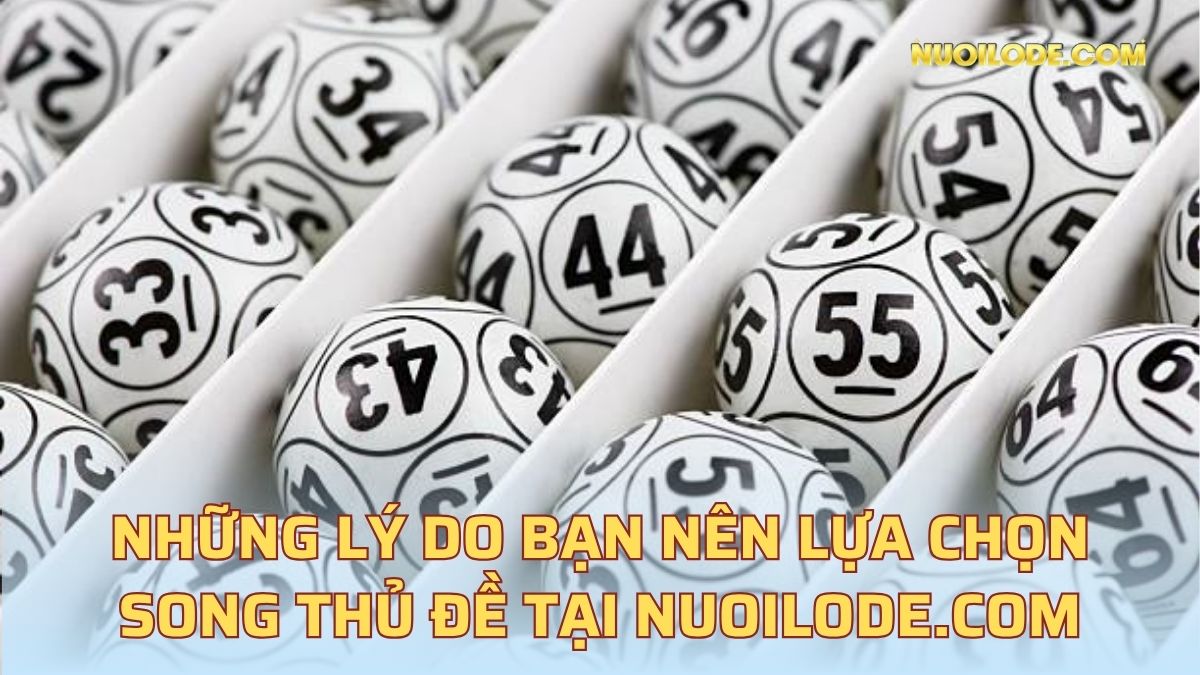 Những lý do bạn nên lựa chọn song thủ đề tại nuoilode.com