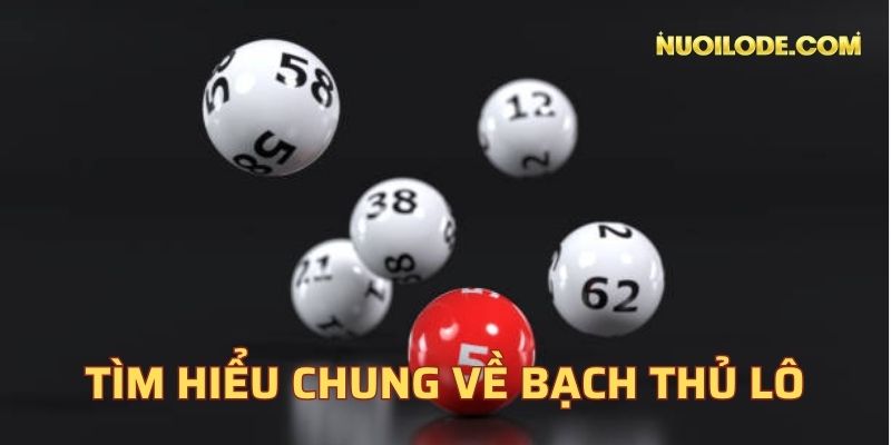 Tìm hiểu chung về bạch thủ lô