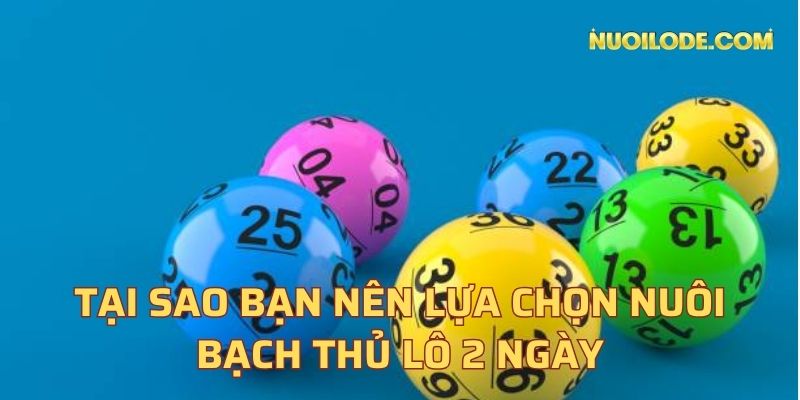 Tại sao bạn nên lựa chọn nuôi bạch thủ lô 2 ngày