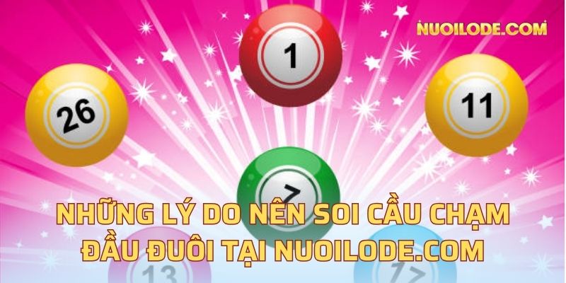 Những lý do nên soi cầu chạm đầu đuôi tại nuoilode.com