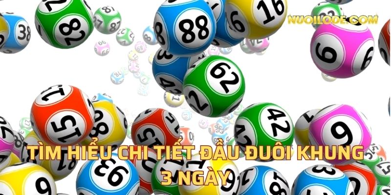 Tìm hiểu chi tiết đầu đuôi khung 3 ngày