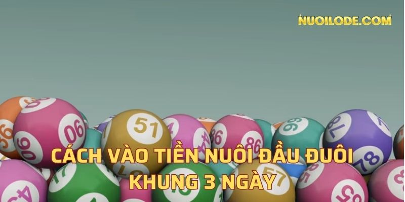 Cách vào tiền nuôi đầu đuôi khung 3 ngày