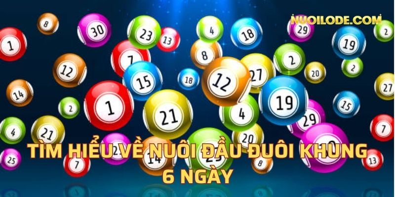 Tìm hiểu về nuôi đầu đuôi khung 6 ngày