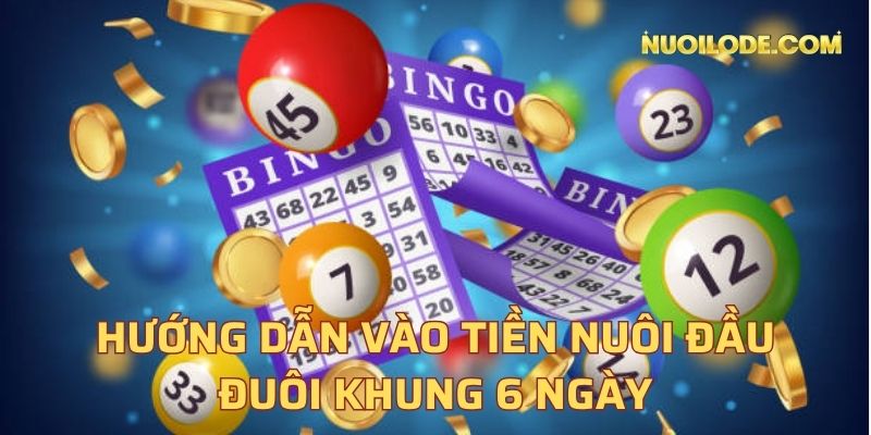 Tìm hiểu về nuôi đầu đuôi khung 6 ngày