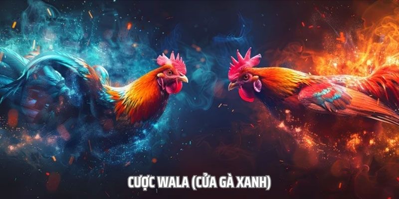 Hình thức cược Wala