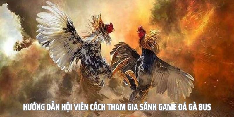 Sơ lược về đá gà 8us