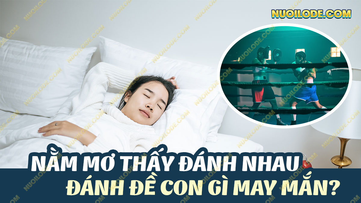 mơ thấy đánh nhau