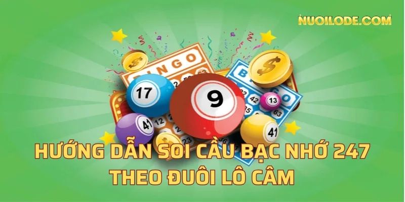 Hướng dẫn soi cầu bạc nhớ 247 theo đuôi lô câm