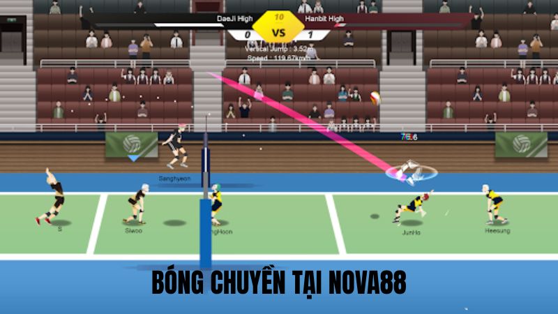 Bóng Chuyền Tại Nova88 | Bộ Môn Cá Cược Cực Kì Hấp Dẫn