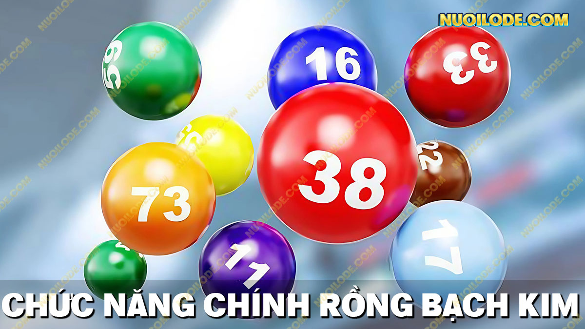 Tổng hợp những chức năng chính của rồng bạch kim chốt số