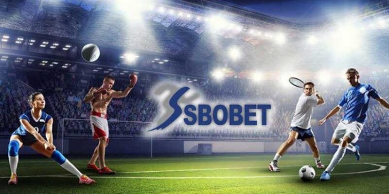 Những hình thức cá cược có mặt tại sảnh Sbobet Vvvwin