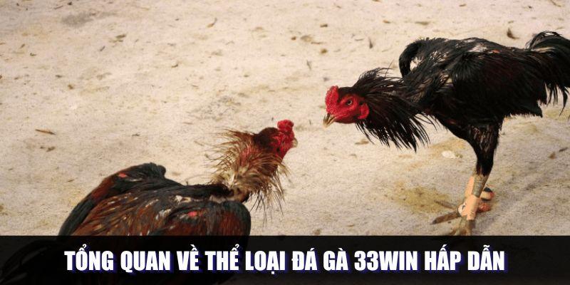 Đá gà 33win