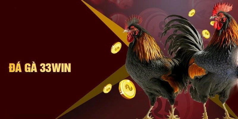 Đá gà 33win