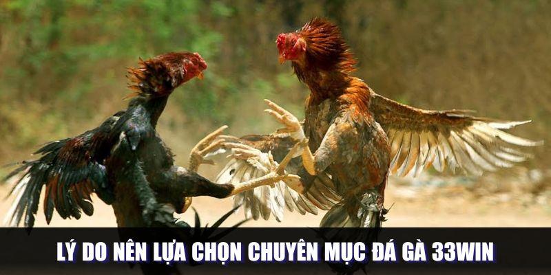 Đá gà 33win