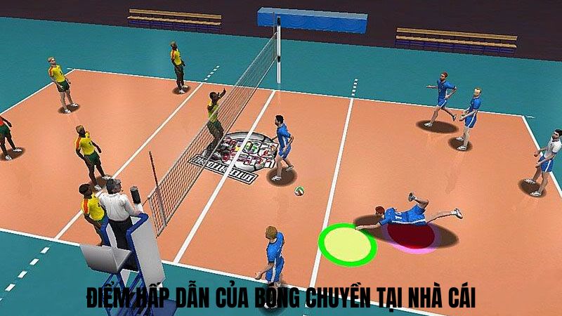 Điểm hấp dẫn của bóng chuyền tại nhà cái
