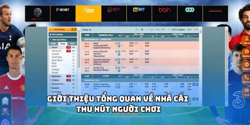 Giới thiệu tổng quan về nhà cái thu hút người chơi