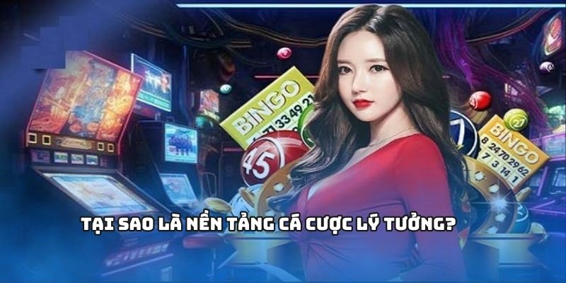 Tại sao chọn là nền tảng cá cược lý tưởng?