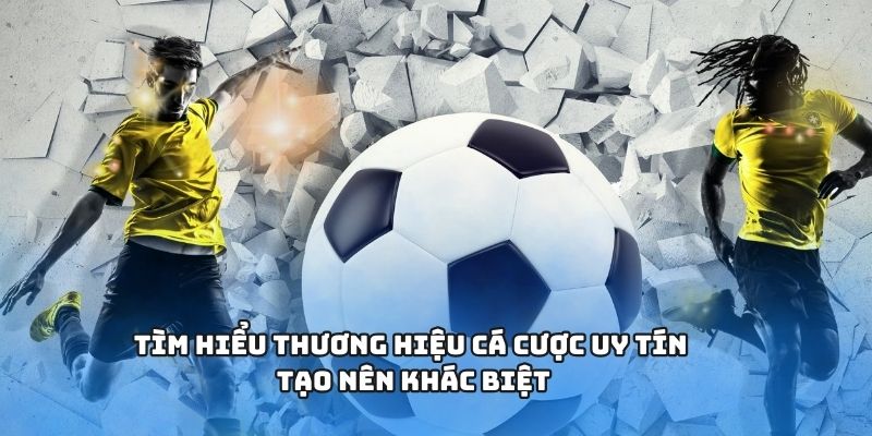 Các sảnh cược linh hoạt, dễ chơi tại nền tảng