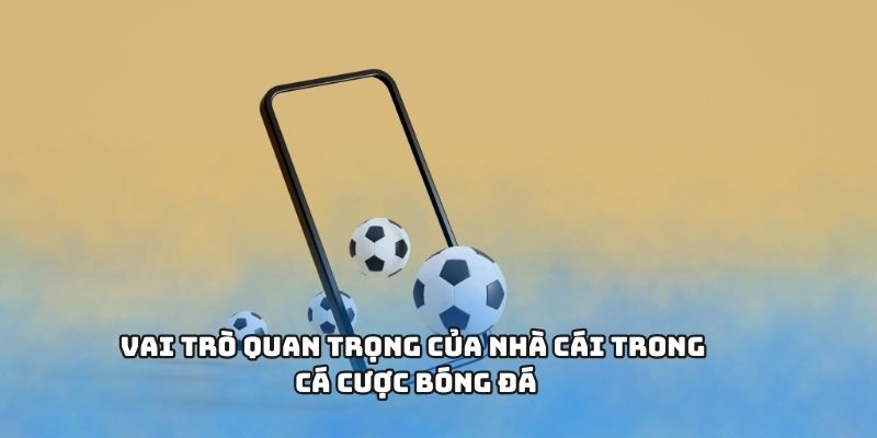 Vai trò quan trọng của nhà cái trong cá cược bóng đá