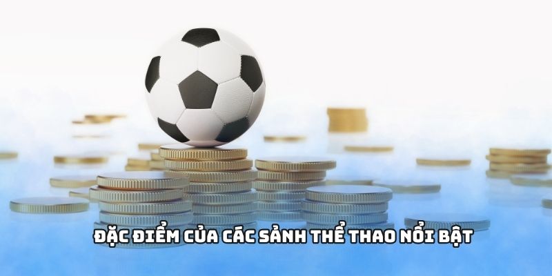 Đặc điểm của các sảnh thể thao nổi bật 