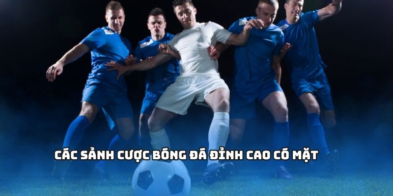 Các sảnh cược bóng đá đỉnh cao có mặt