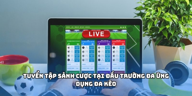 Tuyển tập sảnh cược tại đấu trường đa ứng dụng đa kèo