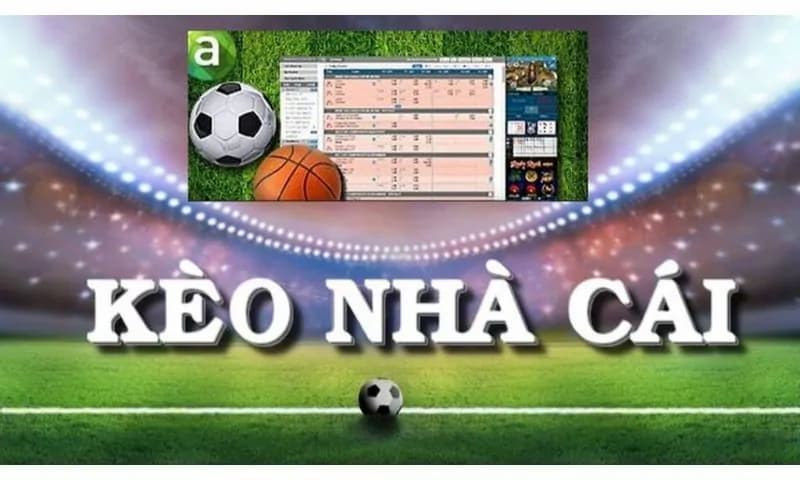 Các kèo nhà cái phổ biến và không nên bỏ qua khi cược bóng