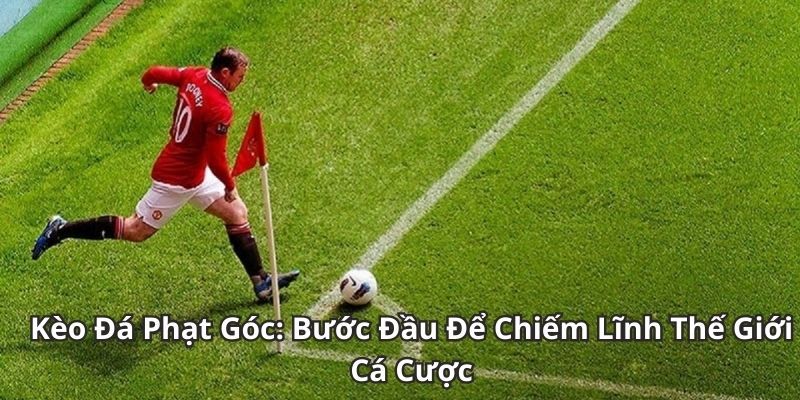 Cách đọc và hiểu kèo phạt góc