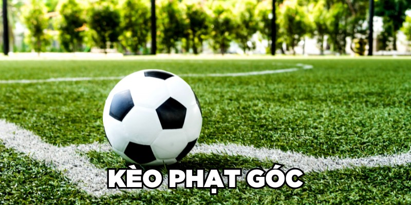 Kèo Phạt Góc – Kinh Nghiệm Cược Góc Tại 12Bet Đỉnh Chóp 2025