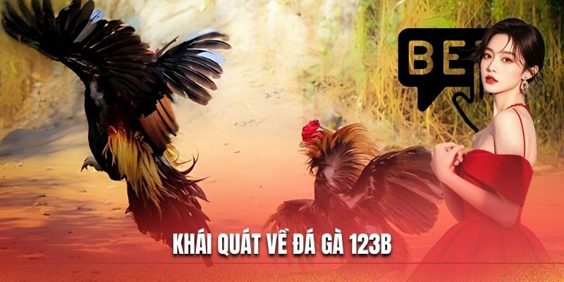Khái quát về đá gà 123B