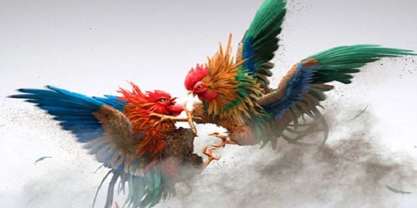 Đá Gà WINVN – Cổng Game Uy Tín Với Tỷ Lệ Thắng Hấp Dẫn